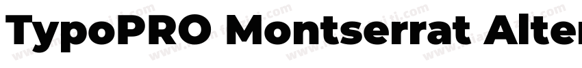 TypoPRO Montserrat Alternates Black字体转换